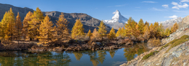 Grindjisee und Matterhorn Panorama im Herbst/12848418