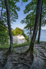 Ostseeküste auf Rügen/12851815