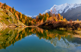 Herbst im Lötschental - Wallis - Schweiz/12852228