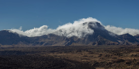 Alto de Guajara/12852234