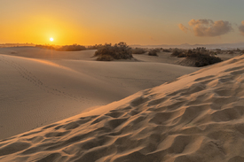 Dünen von Maspalomas auf Gran Canaria/12852264