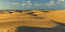 Dünen von Maspalomas auf Gran Canaria/12852285