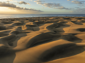 Dünen von Maspalomas auf Gran Canaria/12852290