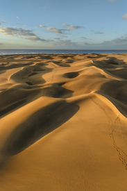 Dünen von Maspalomas auf Gran Canaria/12852295