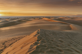 Dünen von Maspalomas auf Gran Canaria/12852298