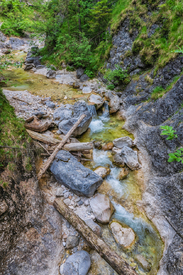 Wasserfall - Almbachklamm bei Berchtesgaden /12852570