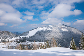 Brecherspitze verschneit/12869134