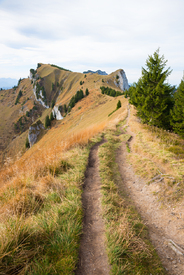 Höhenweg zum Latschenkopf am Brauneck/12871019