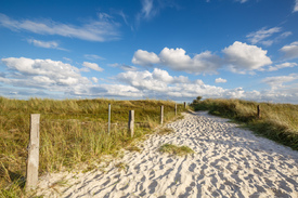Sommerurlaub an der Ostsee/12891966
