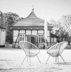 Stühle im Park/12892273
