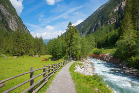 Wanderweg im Stilluptal/12892492