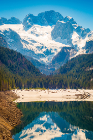 Gosausee - Dachstein im Spiegel/12892686