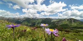 Ein Sommertag im Allgäu/12898901