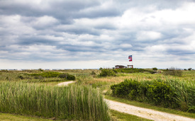 Strandbar in den Ostseedünen/12899221