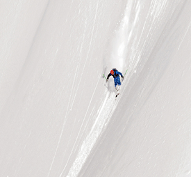 Freerider/12899391