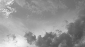 Black and  White/12900390