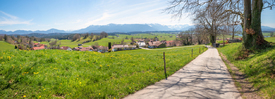 Frühlingsweg Aidling in Oberbayern/12908582