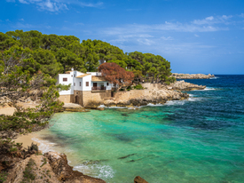Cata Gat Strand auf Mallorca/12908954