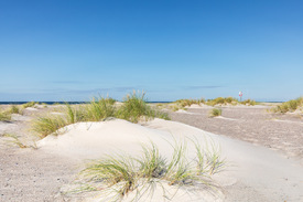 Weiße Stranddünen   /12913669
