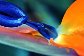 Farben der Natur/12913932