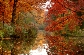Herbst/12914284
