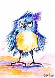 Angry little bird/12915466