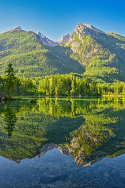 Der Hintersee im Morgenlicht/12915649