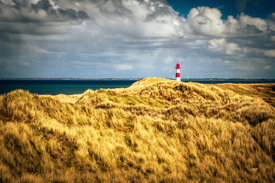 Halbinsel Ellenbogen im Abendlicht/12916592
