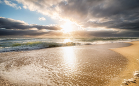 Umschmeichelt vom Licht/12916593