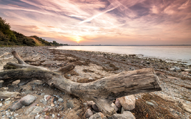 Strandholz im Sonnenuntergang /12917515