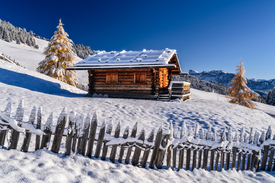 Herbst auf der Seiser Alm Südtirol/12917762
