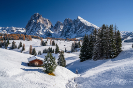 Herbst auf der Seiser Alm Südtirol/12917765
