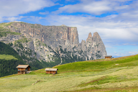 Schlern auf der Seiser Alm/12919300