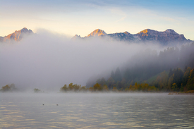 Berge im Nebel - Herbst am Forggensee/12920053