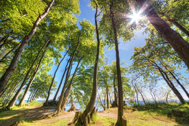 Sommerzeit an der Steilküste/12921091