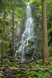 Burgbachwasserfall - Schwarzwald/12921564