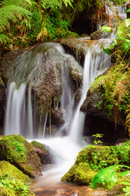 Burgbachwasserfall - Schwarzwald/12921566