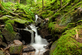 Burgbachwasserfall - Schwarzwald/12921570