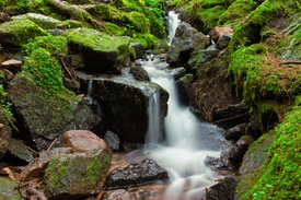 Burgbachwasserfall - Schwarzwald/12921572