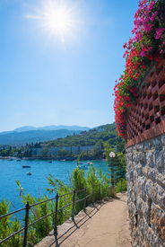 Küstenweg Kvarner Bucht Icici Kroatien/12921982