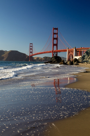 Golden Gate Bridge/12921989