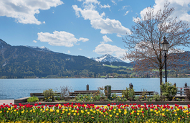 Tegernsee Frühlingspromenade/12921991