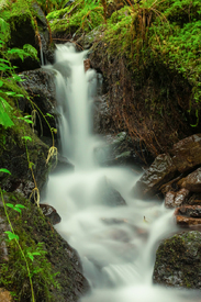 Burgbachwasserfall - Schwarzwald/12922098