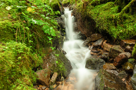 Burgbachwasserfall - Schwarzwald/12922099