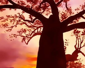 im Abendlicht/12922502