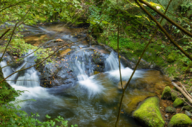 Geroldsauer Wasserfall - Schwarzwald/12922542