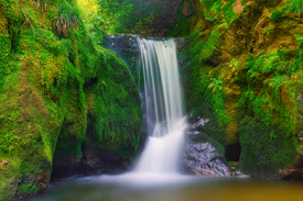 Geroldsauer Wasserfall - Schwarzwald/12922546
