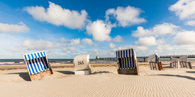 Strandkörbe am Strand von Zingst an der Ostsee/12923000