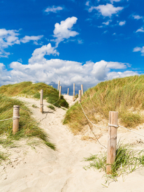 Weg durch die Dünen zum Meer - Großbritannien/12923005