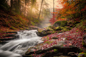 Colorfull Autumn/12923253